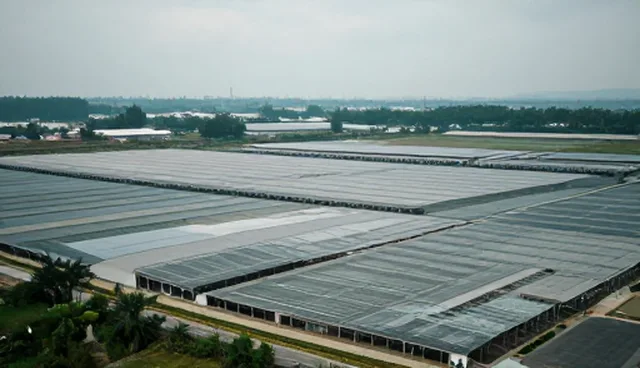 房地产网站建设有哪些常见问题？